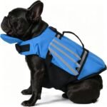 Dog Life Jacket with Cute Angel Wings, High Buoyancy Pet Safety Vest with Bright Reflective Strips & Rescue Handle, Ripstop 420D Oxford Dog Swimwear for Swimming, Pool, Beach & Boating - Image 5