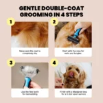 2-in-1 Pet Hair Remover Tool, Professional Grooming Undercoat Rake for Dogs & Cats, Easy Tangle Removal - Image 2
